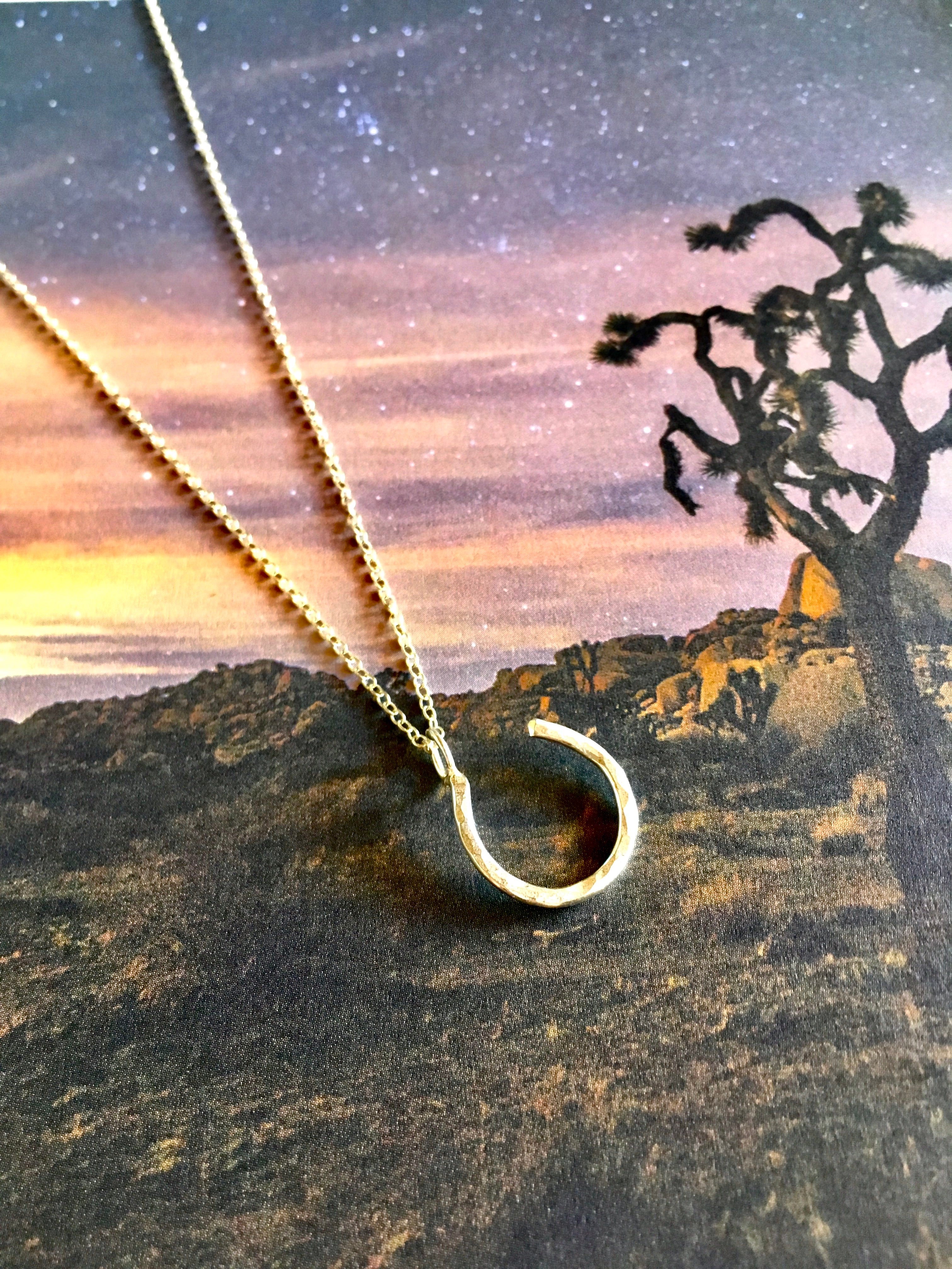 Hanging Lucky Horseshoe Charm Necklace-0