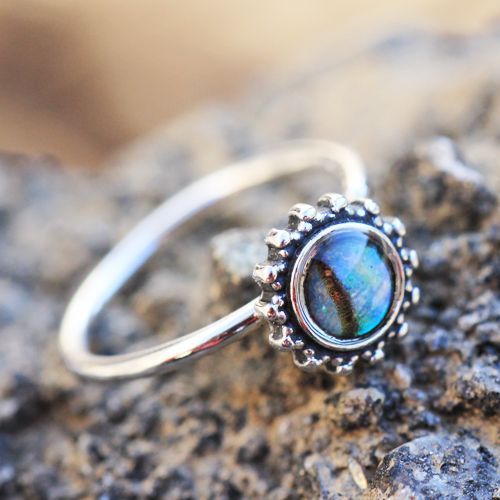 316L Stainless Steel Abalone Shell Charm Nose Hoop / Cartilage Earring