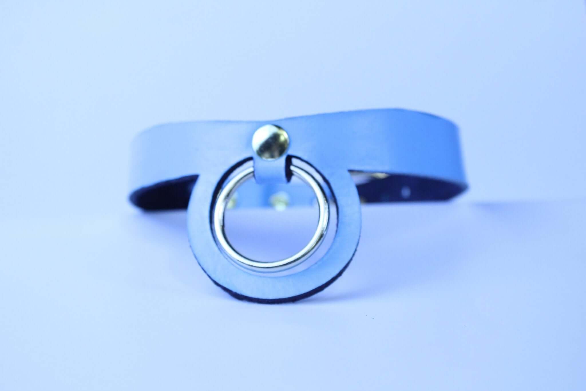 Pastel Blue BDSM Collar BDSM Submissive Jewelry  Petplay Accessory